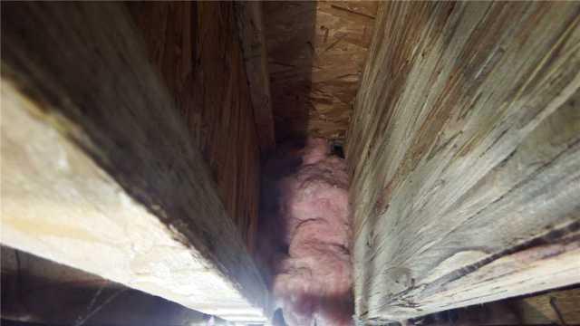 Early Signs of Water Damage on Support Beams