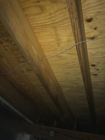 Mold Removal in Madisonville