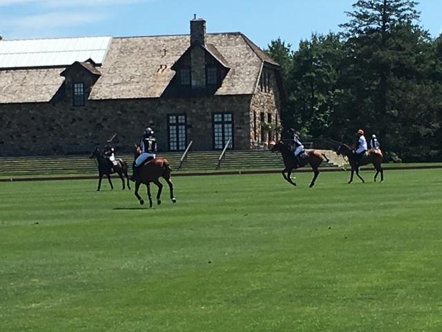 Greenwich Polo Club Game Time