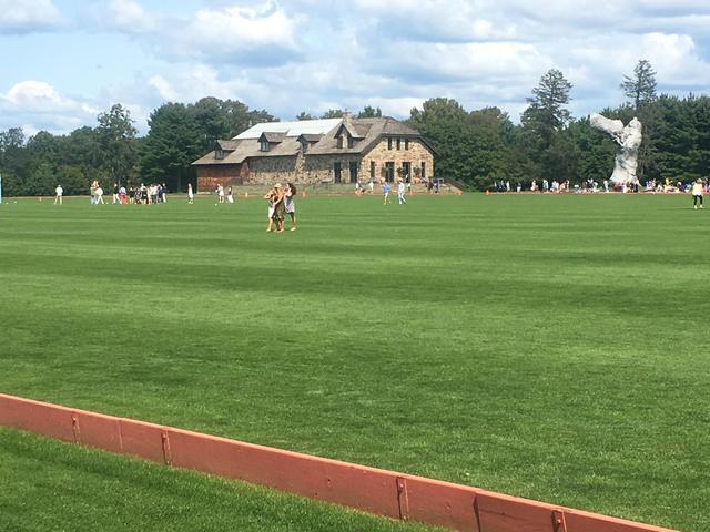 Greenwich Polo Club The Field