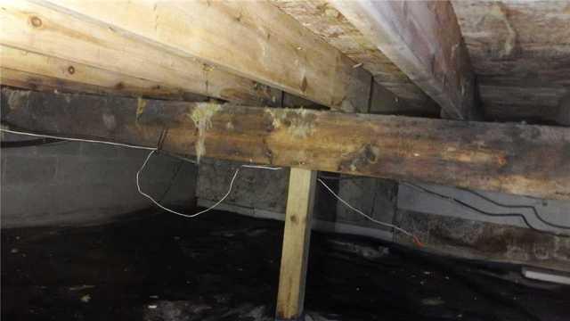 Rotting Support Beam Endangers House