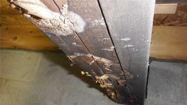 Closeup of Rotting Beam