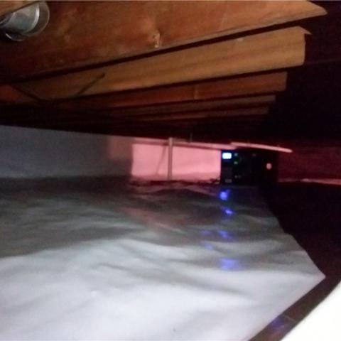 dehumidification delia
