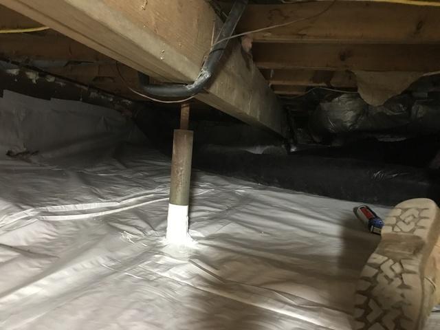 CleanSpace Liner