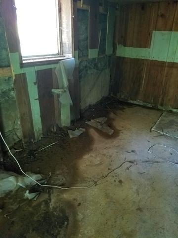 Wood Rot