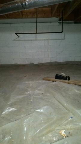 Exposed Ground