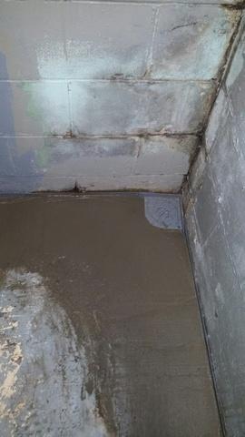 Dry Basement Reduces Mold