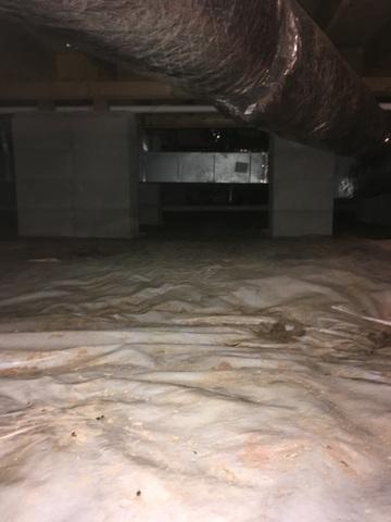 Moldy Crawl Space