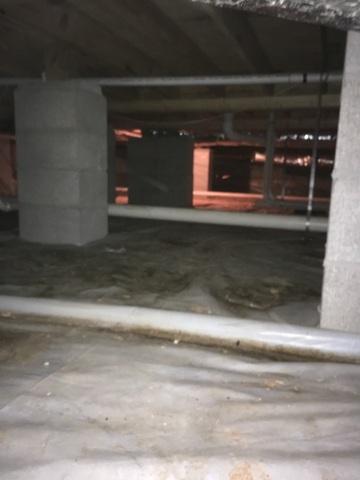 Prime Mold Real Estate