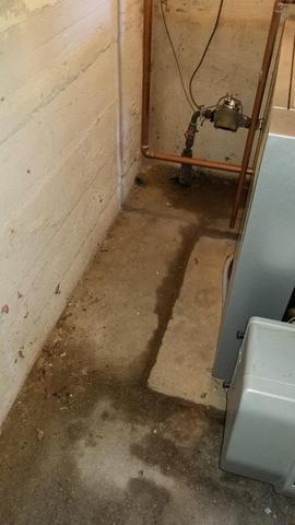 Wet Basement