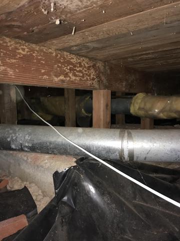 Photo of moisture creating mold in beam