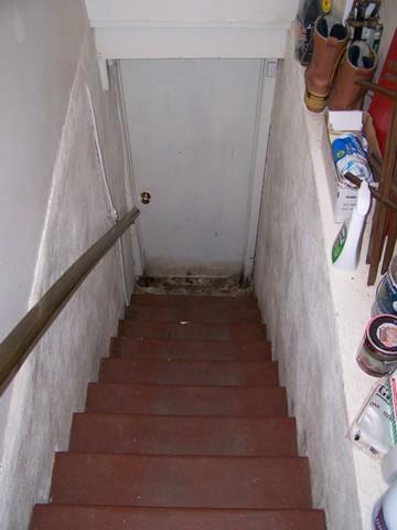 Moldy Stairs in Easton, CT