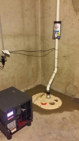 TripleSafe Sump Pump and SaniDry