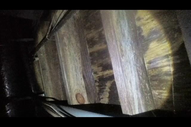 Wood rot of the Floor joist