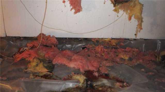 Fallen Insulation