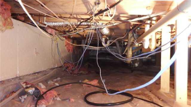 Musty Crawl Space