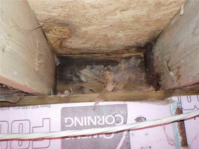 Moisture In The Rim Joists