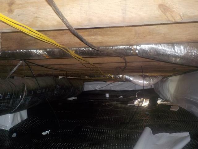 Delta Matting