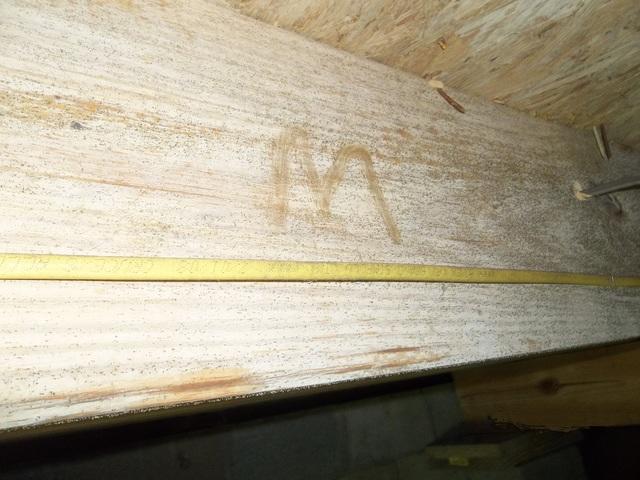 Mold on the floor joist.