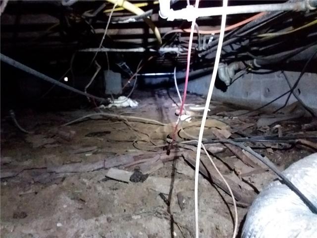 Wet and Dirty Savannah Crawl Space