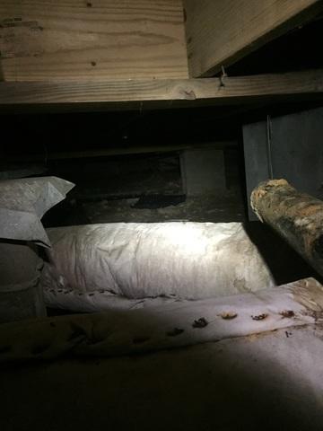 Utilizing Crawl Space for Storage