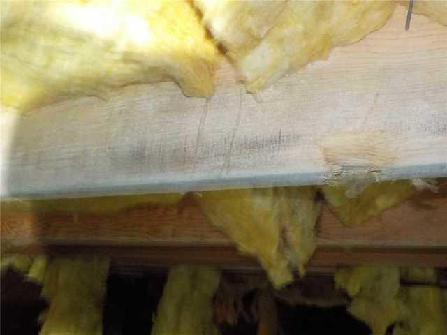 Mold on Support Beams