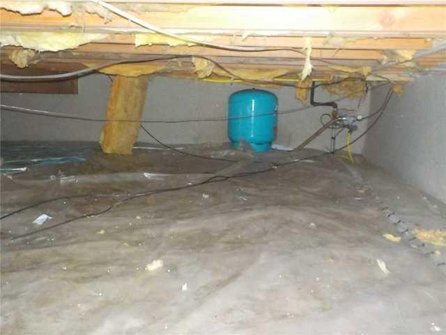 Musty Crawl Space in Cedar. MI