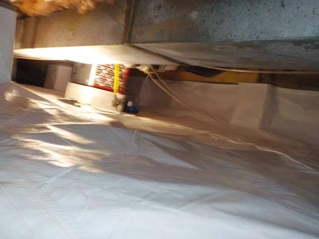 Dehumidifer