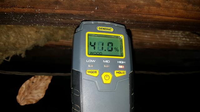 High Moisture Content