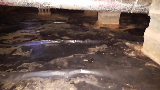 Trunk Line Condensation