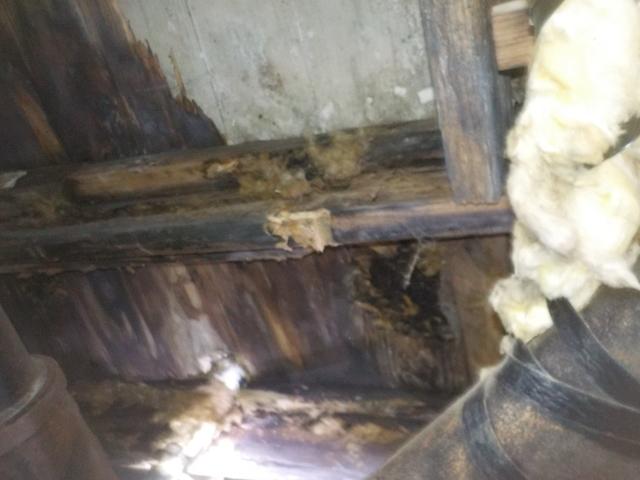 Subfloor wood rot