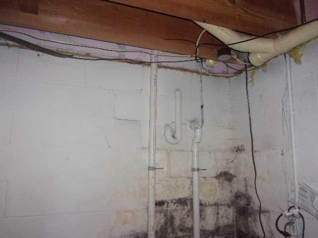 Extensive Water Damage and Mold on Wall