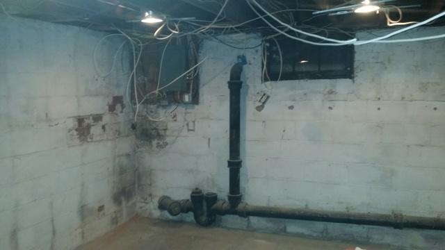 Water Damaged Basement