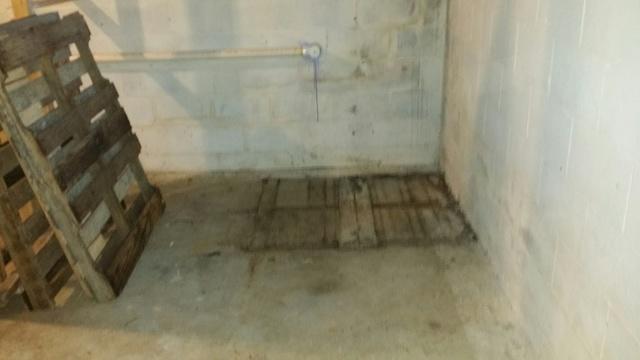 Cold and Wet Basement