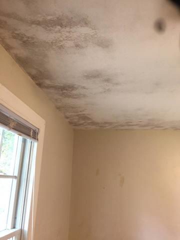 Before remediaiton of mold