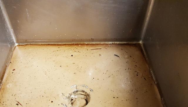 Cowleys Pest Services Pests We Treat Photo Album Fruit