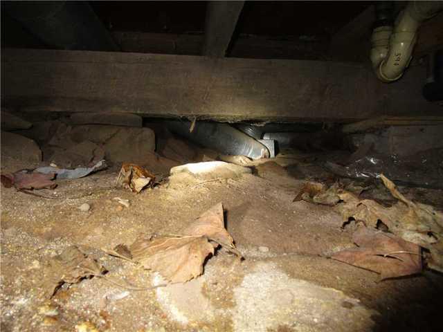 Crawlspace