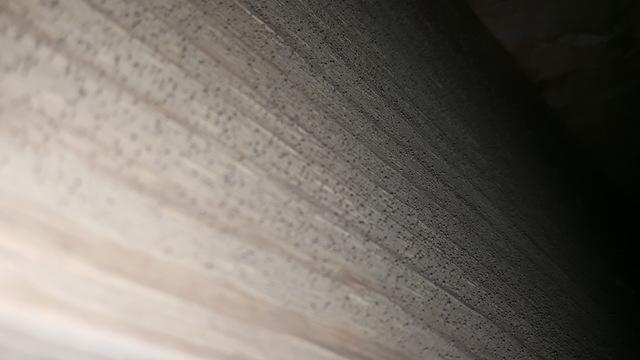 Mold on the joist