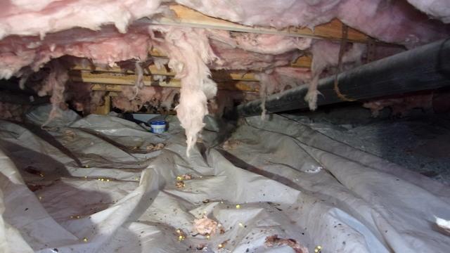 Falling Insulation