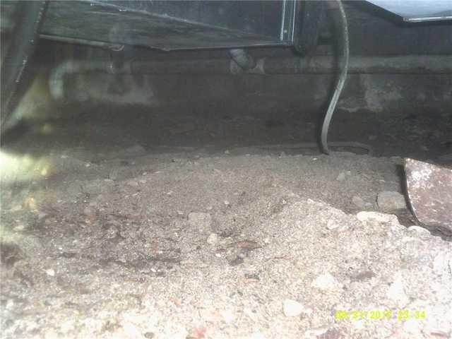 Musty Crawl Space in Fennville, MI