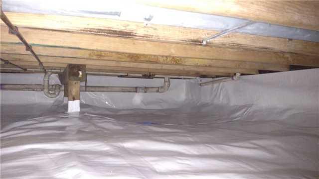 CleanSpace Makeover in Crawl Space