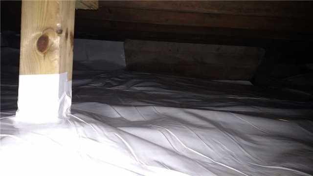 Extra CleanSpace Protection