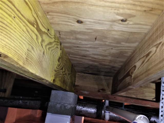 Wood Rot Repair in a Summerville Crawlspace