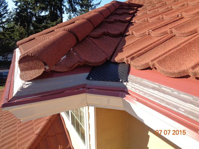 Leafless In Seattle Gutter Guards Photo Album Tile Roof In 