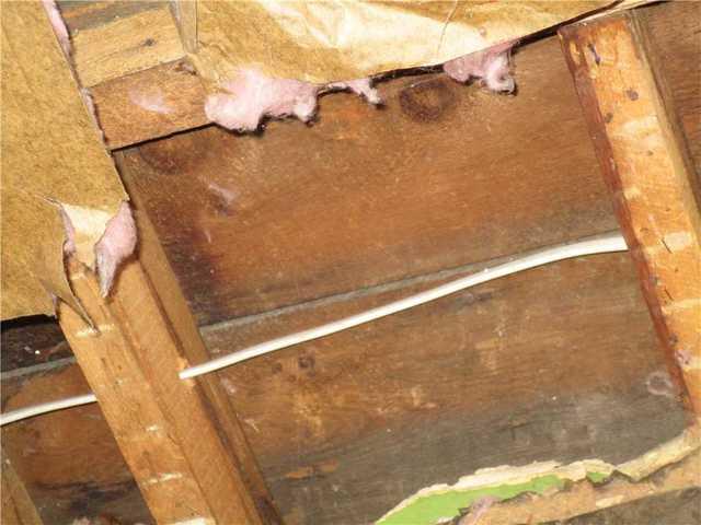 Attic Ceiling