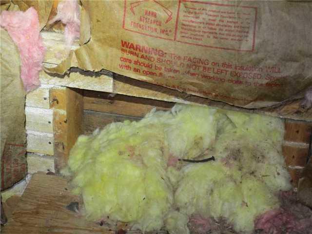 Poor Attic Insulation