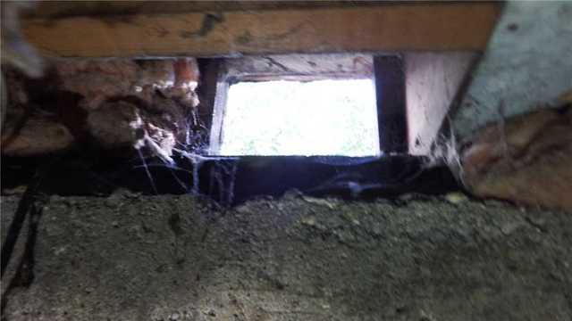Vents Can Let in Outside Elements