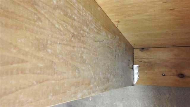 Mold Can Easily Grow in Crawl Spaces