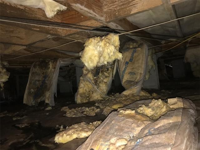 Wet, Falling Insulation