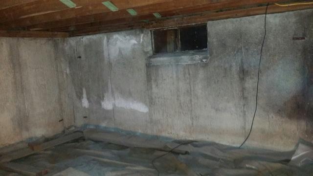Discolored Basement Walls Before